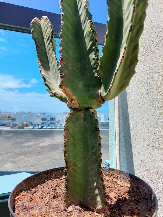 Deep Blue Cotillo III By Sea You There Fuerteventura Exterior photo